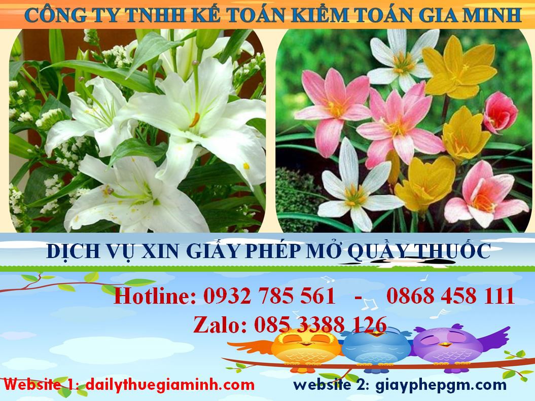Xin giấy phép mở nhà thuốc tại Tiền Giang 4 Thủ tục xin giấy phép mở nhà thuốc tại Tiền Giang