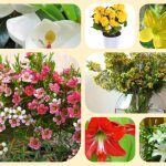 Xin giấy phép mở nhà thuốc tại Tuyên Quang 6 Muốn xin giấy phép mở nhà thuốc tại Tuyên Quang
