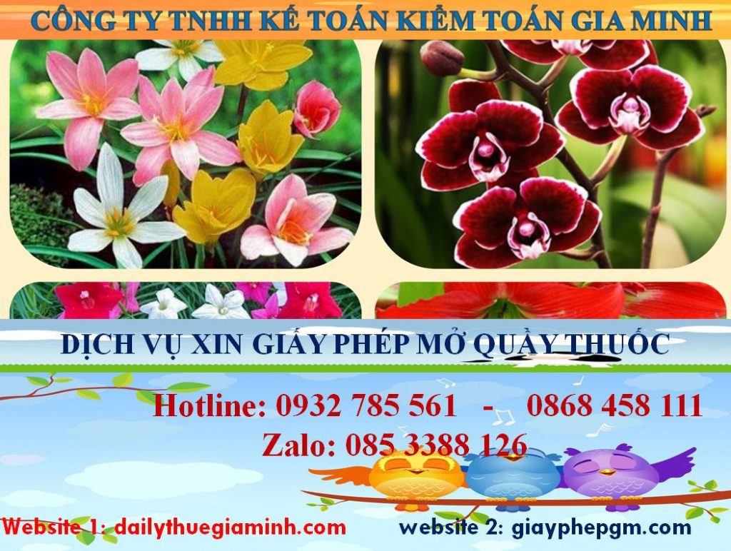 Xin giấy phép mở nhà thuốc tại Tuyên Quang 4 Thủ tục xin giấy phép mở nhà thuốc tại Tuyên Quang