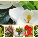 Xin giấy phép mở nhà thuốc tại Yên Bái 6 Muốn xin giấy phép mở nhà thuốc tại Yên Bái