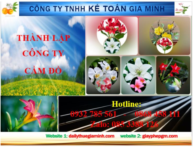 Thành lập công ty cầm đồ tại Hòa Bình 6 Dịch vụ thành lập công ty cầm đồ tại Hòa Bình