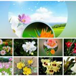 Thành lập công ty âm nhạc tại Huyện Phúc Thọ 6 Muốn thành lập công ty âm nhạc tại Huyện Phúc Thọ
