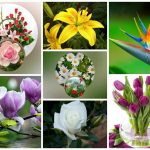 Muốn thành lập doanh nghiệp âm nhạc tại Quận Hà Đông