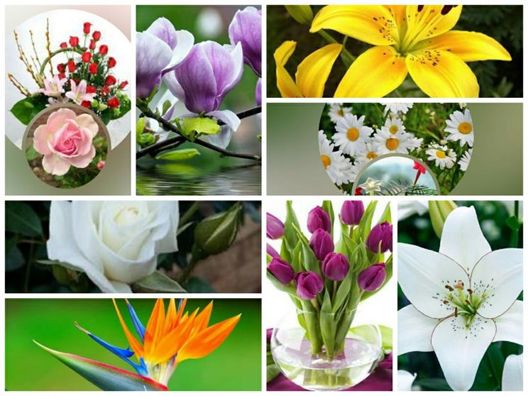 Chi phí thành lập công ty âm nhạc tại Quân Thủ Đức