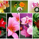 Các bước thành lập công ty tại Hà Nội 6 Muốn thành lập doanh nghiệp tại Hà Nội