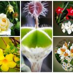 Xin giấy phép lao động tại Bắc Giang 6 Cần dịch vụ làm phép lao động tại Bắc Giang