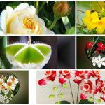 Xin giấy phép lao động tại Bắc Kạn 6 Cần dịch vụ làm phép lao động tại Bắc Kạn