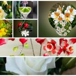 Xin giấy phép lao động tại Bình Thuận 6 Cần dịch vụ làm phép lao động tại Bình Thuận