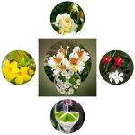 Xin giấy phép lao động tại Đồng Tháp 6 Cần dịch vụ làm phép lao động tại Đồng Tháp