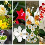 Xin giấy phép lao động tại Hà Nội 6 Cần dịch vụ làm phép lao động tại Hà Nội