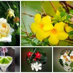 Xin giấy phép lao động tại Huyện Cần Giờ 6 Cần dịch vụ làm phép lao động tại Huyện Cần Giờ
