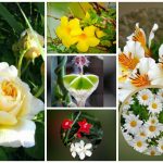 Xin giấy phép lao động tại Huyện Củ Chi 6 Cần dịch vụ làm phép lao động tại Huyện Củ Chi