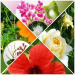 Hướng Dẫn Xin Giấy Phép Lao Động Tại Lai Châu: Thủ Tục, Điều Kiện và Quy Trình Chi Tiết 6 Cần dịch vụ làm phép lao động tại Lai Châu