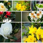 Xin giấy phép lao động tại Huyện Nhà Bè 6 Cần dịch vụ làm phép lao động tại Huyện Nhà Bè