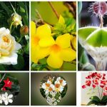 Xin giấy phép lao động tại Ninh Bình 6 Cần dịch vụ làm phép lao động tại Ninh Bình