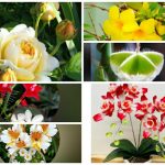 Cần dịch vụ làm phép lao động tại Quận 12