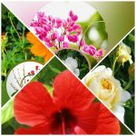 Xin giấy phép lao động tại Quảng Ngãi 6 Cần dịch vụ làm phép lao động tại Quảng Ngãi