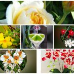 Xin giấy phép lao động tại Tây Ninh 6 Cần dịch vụ làm phép lao động tại Tây Ninh