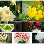 Xin giấy phép lao động tại Thái Nguyên 6 Cần dịch vụ làm phép lao động tại Thái Nguyên