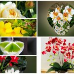 Xin giấy phép lao động tại Thành Phố Hồ Chí Minh 6 Cần dịch vụ làm phép lao động tại Thành Phố Hồ Chí Minh