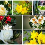 Xin giấy phép lao động tại Thừa Thiên Huế 6 Cần dịch vụ làm phép lao động tại Thừa Thiên Huế