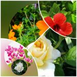 Xin giấy phép lao động tại Vĩnh Phúc 6 Cần dịch vụ làm phép lao động tại Vĩnh Phúc