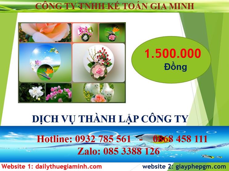 Chi phí đăng ký thành lập công ty tại Bình Định