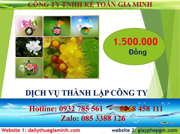 Đăng ký thành lập công ty tại Lào Cai 5 Chi phí đăng ký thành lập công ty ở Lào Cai