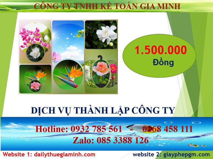 Đăng ký thành lập công ty tại Quận 8 5 Chi phí thành lập doanh nghiệp tại Quận 8