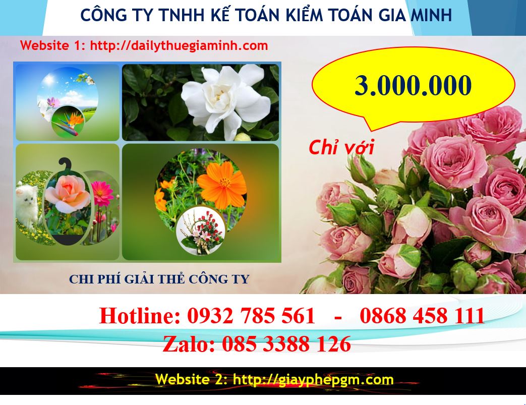 Dịch vụ giải thể công ty tại TPHCM – 3.000.000 5 Chi phí giải thể doanh nghiệp tại TPHCM