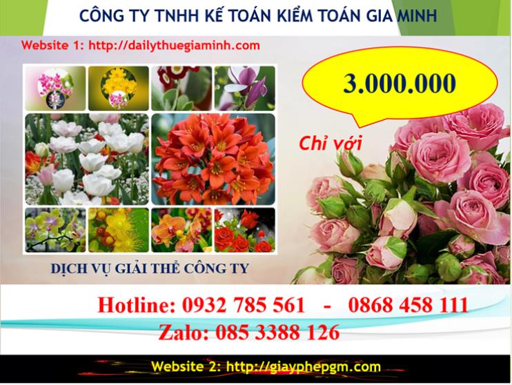 Giải thể công ty tại Hải Phòng: Dịch vụ trọn gói, thủ tục nhanh chóng 5 Chi phí giải thể công ty tại Hải Phòng