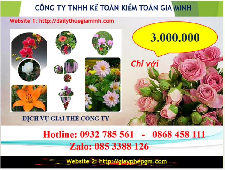 Dịch vụ giải thể công ty Huyện Bắc Tân Uyên 2 Chi phí giải thể công ty tại Huyện Bắc Tân Uyên