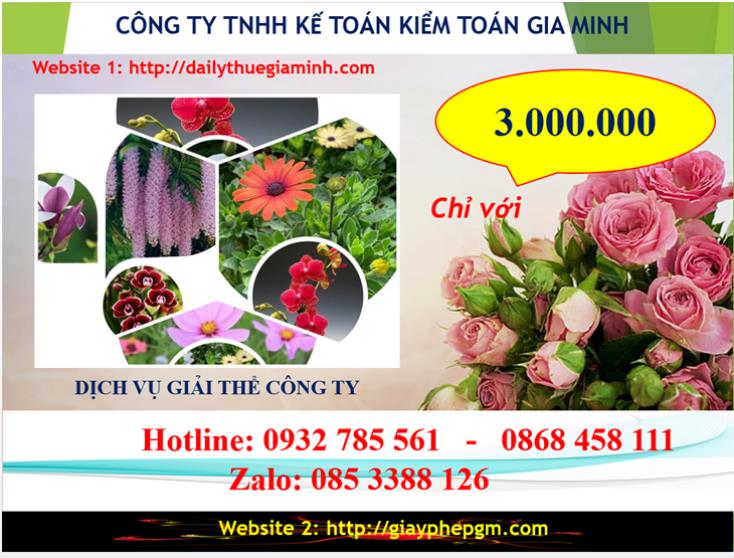 Dịch vụ giải thể công ty Huyện Từ Liêm 2 Chi phí giải thể công ty tại Huyện Từ Liêm