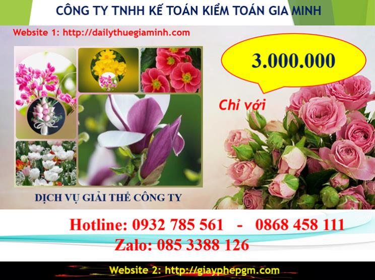 Dịch vụ giải thể công ty Kiên Giang 2 Chi phí giải thể công ty tại Kiên Giang