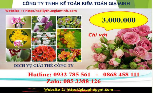 Dịch vụ giải thể công ty Ninh Thuận 5 Chi phí giải thể công ty tại Ninh Thuận