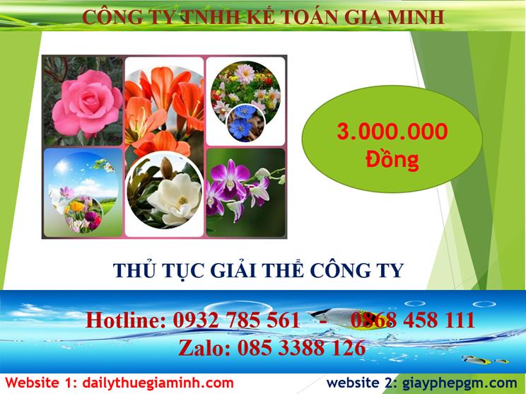 Thủ tục giải thể công ty tại Huyện Bắc Tân Uyên 5 Chi phí thủ tục giải thể công ty tại Huyện Bắc Tân Uyên