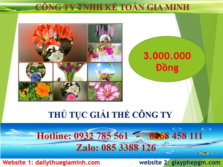 Thủ tục giải thể công ty tại Khánh Hòa 2 Chi phí thủ tục giải thể công ty tại Khánh Hòa