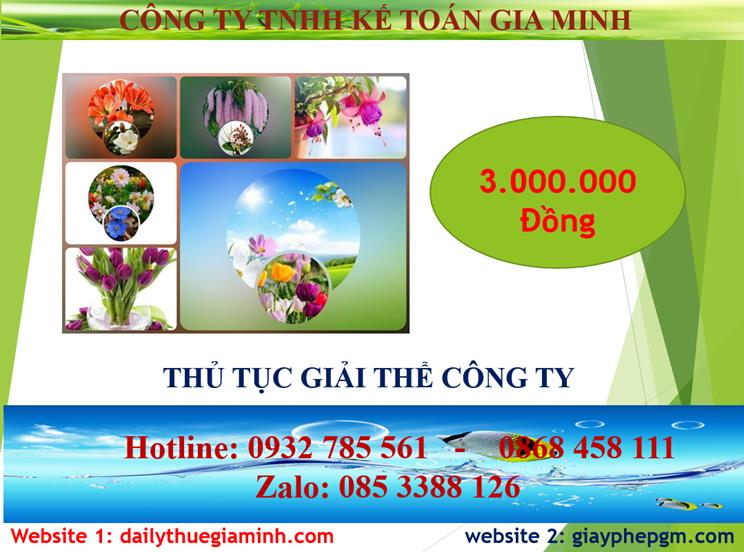 Thủ tục giải thể công ty tại Kiên Giang 2 Chi phí thủ tục giải thể công ty tại Kiên Giang