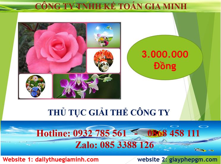 Thủ tục giải thể công ty tại Lào Cai 2 Chi phí thủ tục giải thể công ty tại Lào Cai