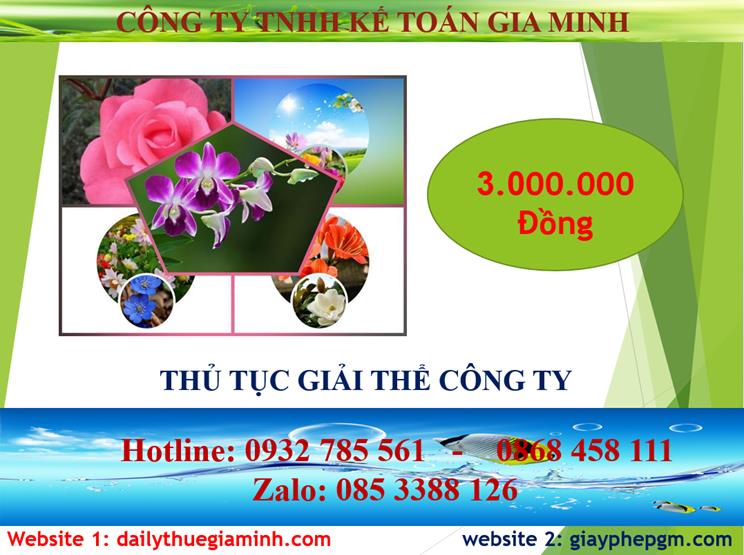Thủ tục giải thể công ty tại Quận Bình Thạnh 5 Chi phí thủ tục giải thể công ty tại Quận Bình Thạnh