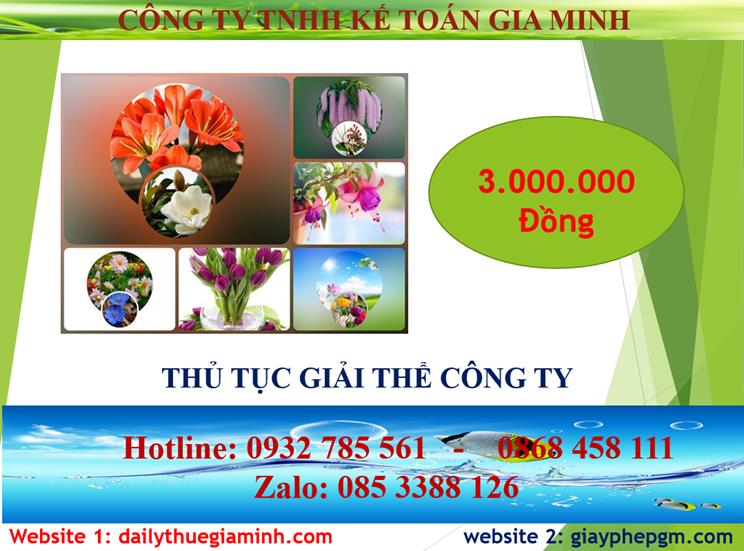 Thủ tục giải thể công ty tại Thành phố Hồ Chí Minh 2 Chi phí thủ tục giải thể công ty tại Thành phố Hồ Chí Minh