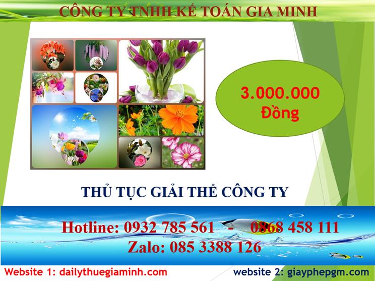 Chi phí thủ tục giải thể công ty tại Thành Phố Thủ Dầu Một