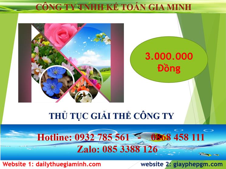 Chi phí thủ tục giải thể công ty tại Thành phố Thủ Đức