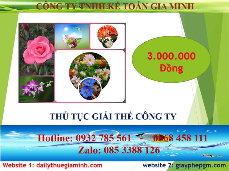 Thủ tục giải thể công ty tại Thị Xã Bến Cát 2 Chi phí thủ tục giải thể công ty tại Thị Xã Bến Cát