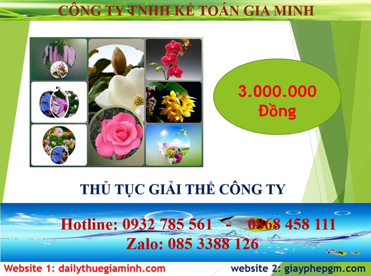 Chi phí thủ tục giải thể công ty tại Thị Xã Dĩ An