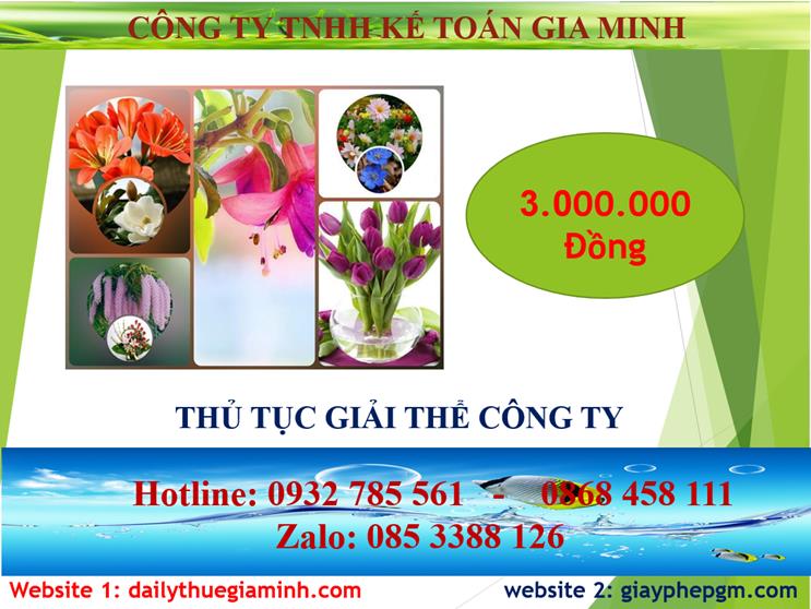Thủ tục giải thể công ty tại Thị Xã Sơn Tây 2 Chi phí thủ tục giải thể công ty tại Thị Xã Sơn Tây