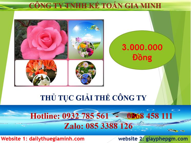 Chi phí thủ tục giải thể công ty tại Thị Xã Tân Uyên