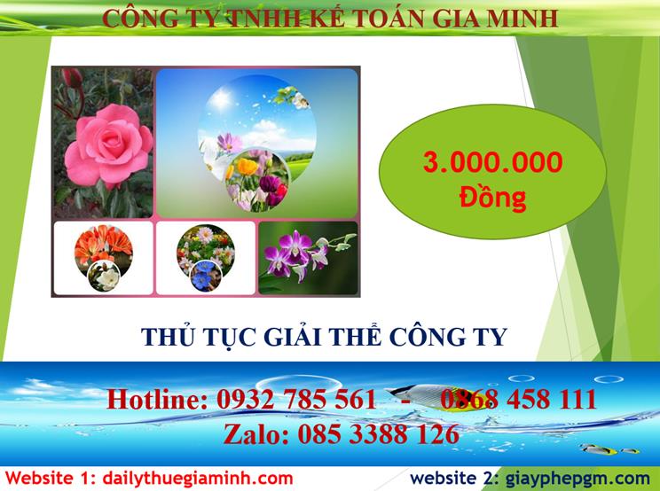 Chi phí thủ tục giải thể công ty tại Thị Xã Thuận An