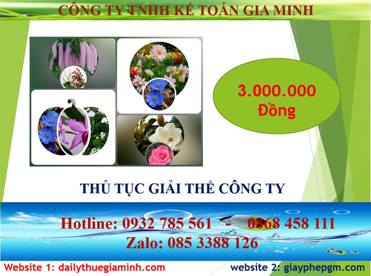Chi phí thủ tục giải thể công ty tại Tiền Giang