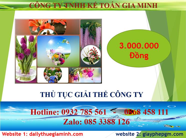 Thủ tục giải thể công ty tại TPHCM 2 Chi phí thủ tục giải thể công ty tại TPHCM